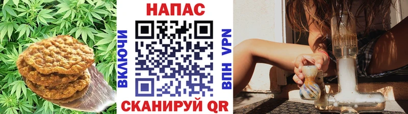 где купить   Каспийск  Еда ТГК конопля 