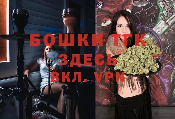 сатива Вязники