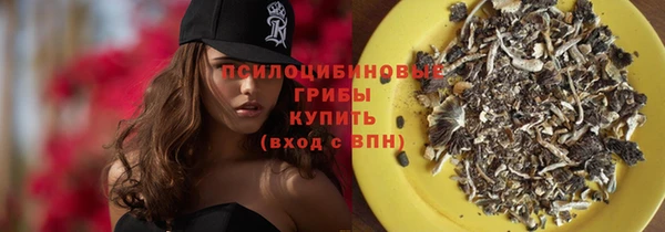 PSILOCYBIN Вязьма
