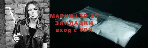 индика Волосово