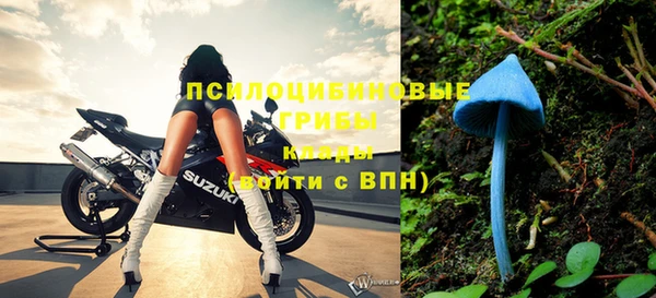 индика Волосово