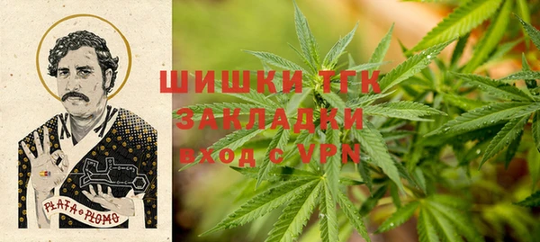 сатива Вязники