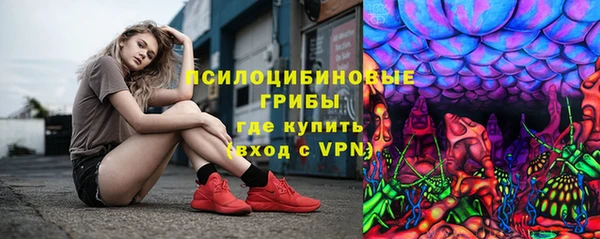 PSILOCYBIN Вязьма