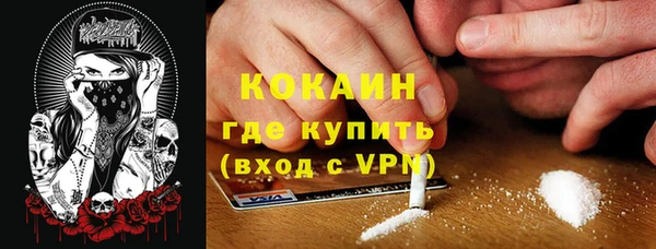 стафф Вяземский