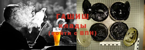 индика Волосово