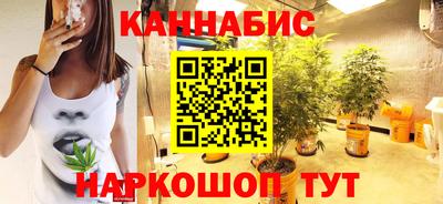 сатива Камышлов