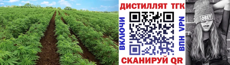 Дистиллят ТГК гашишное масло  Каспийск 