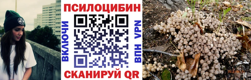 где можно купить   Каспийск  Псилоцибиновые грибы MAGIC MUSHROOMS 