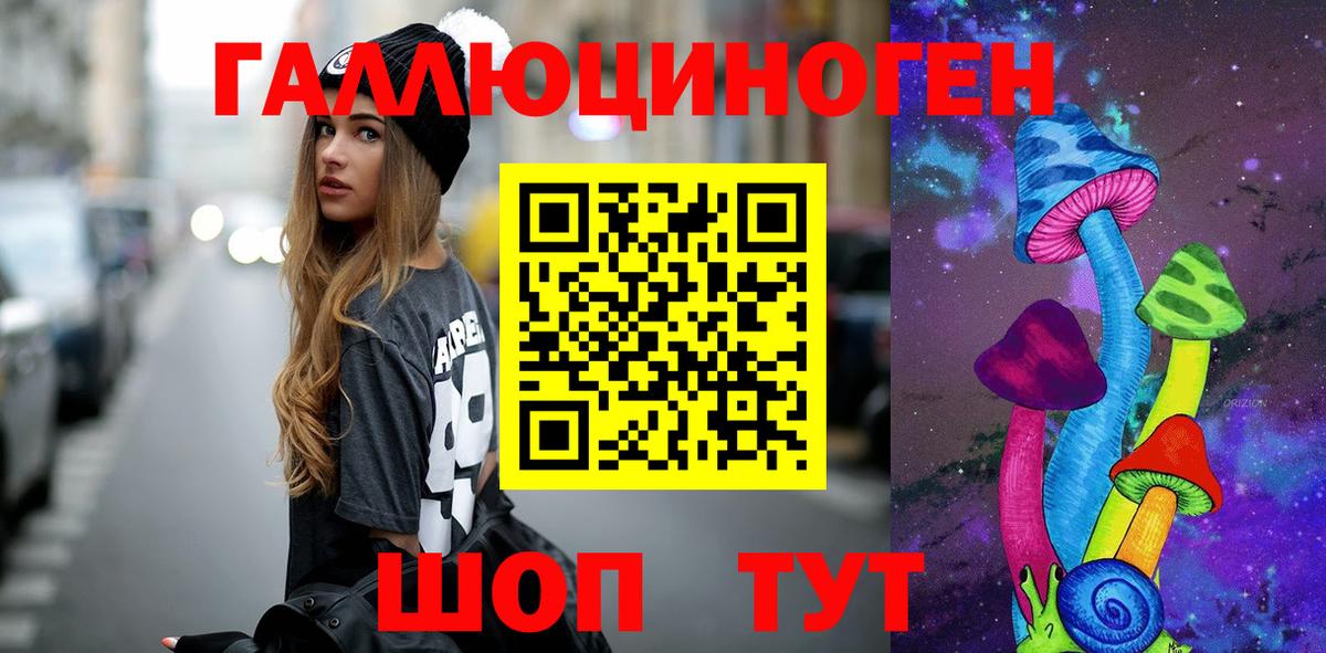 Галлюциногенные грибы Psilocybe Каспийск