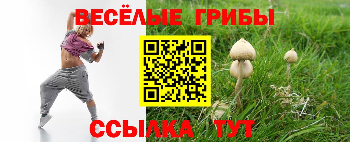 Каспийск  Псилоцибиновые грибы Cubensis  Вход с VPN 